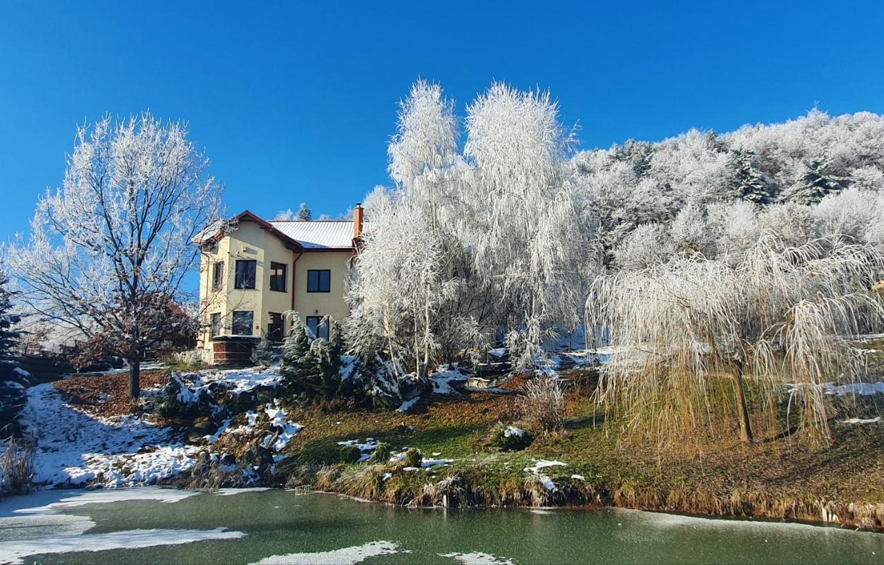 Trovanti Apartment Feleacu Екстериор снимка