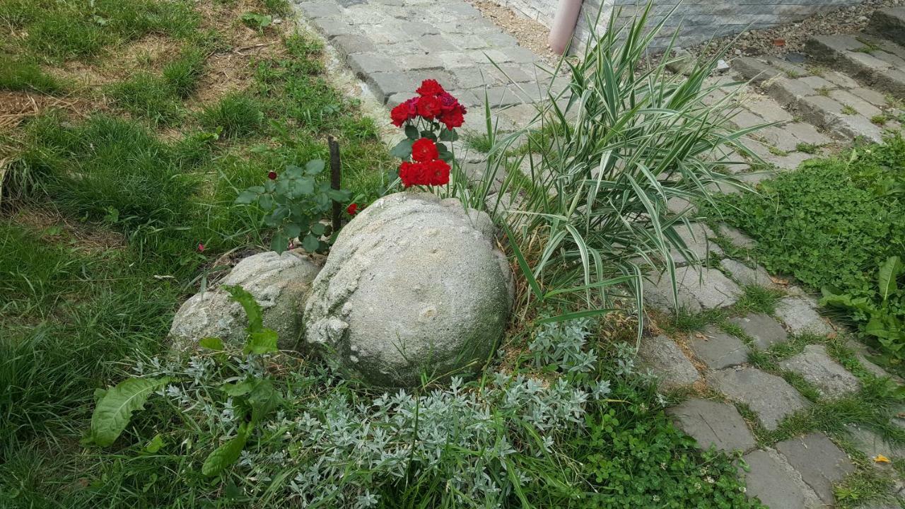 Trovanti Apartment Feleacu Екстериор снимка